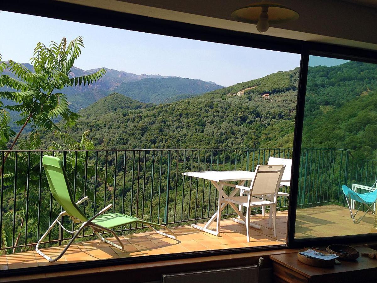 Casa Nepita Sur Vue Grandiose Lejlighed Santa-Lucia-di-Tallano Eksteriør billede