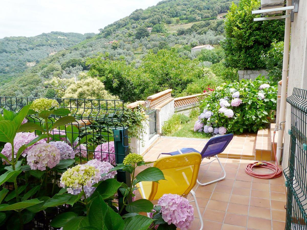 Casa Nepita Sur Vue Grandiose Lejlighed Santa-Lucia-di-Tallano Eksteriør billede